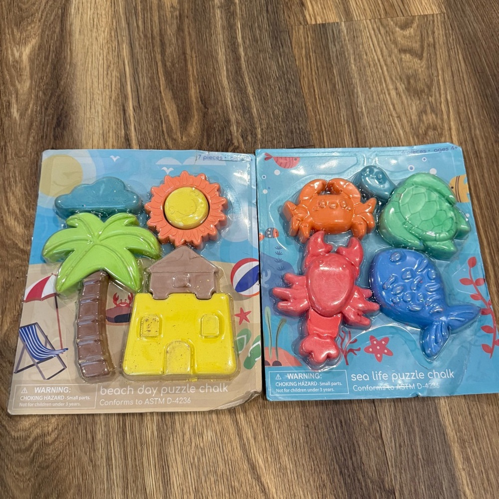 Beach Day and Sea Life Puzzle Chalk Set